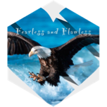 Fearless Group Step Goal Challenge icon