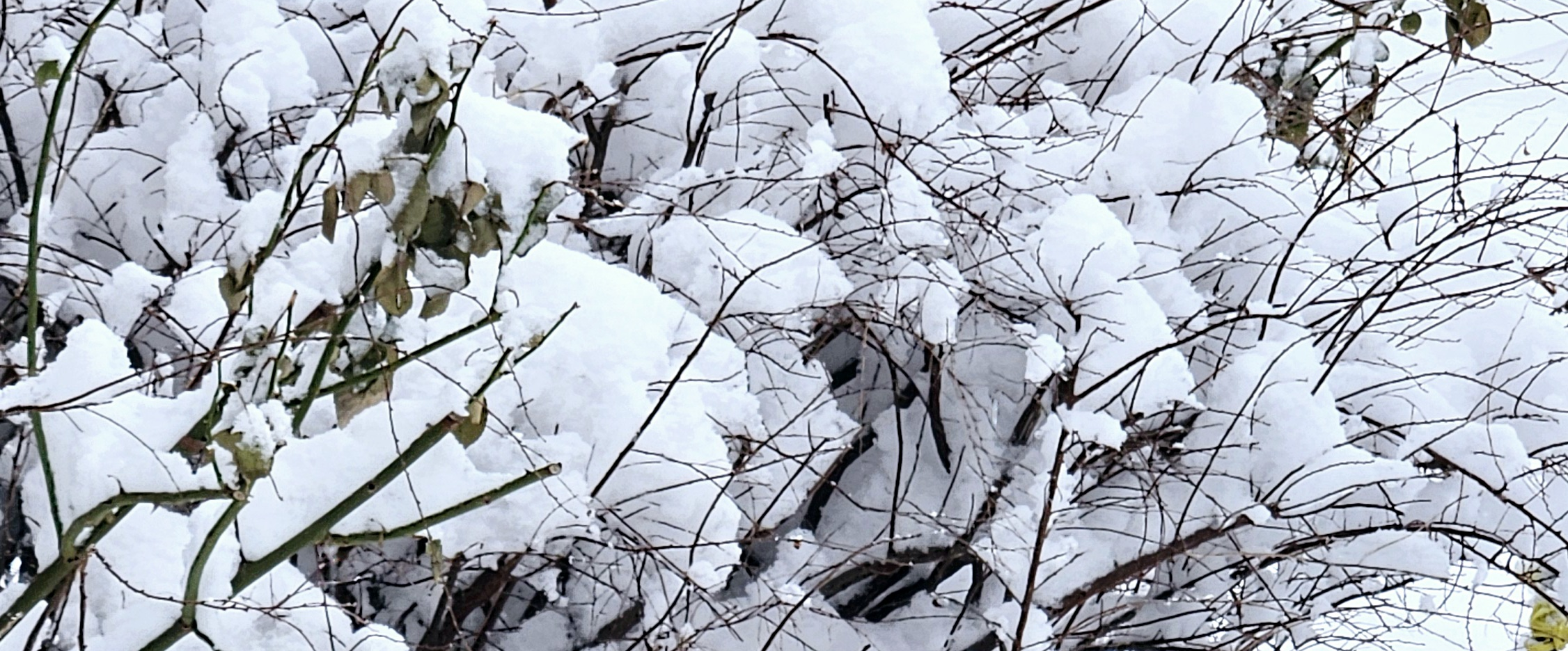 challenge background