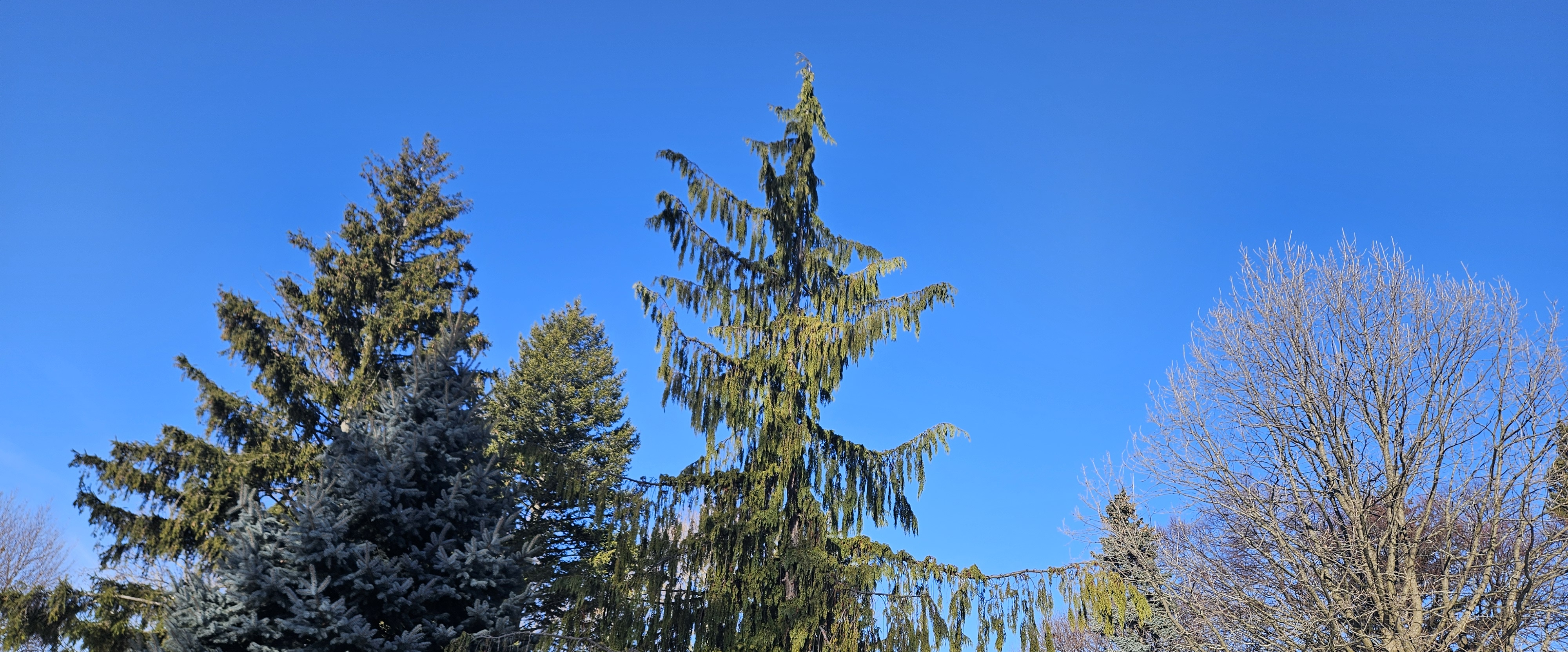 challenge background