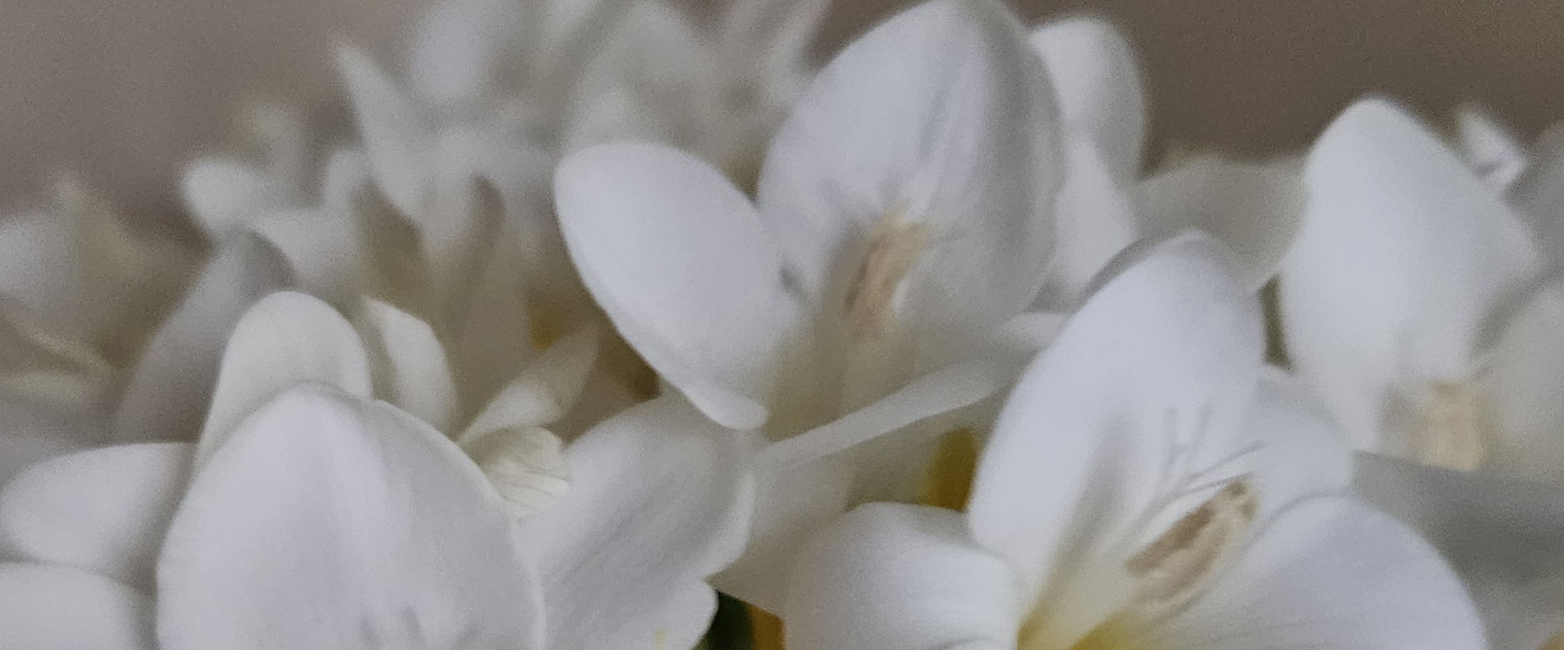 challenge background