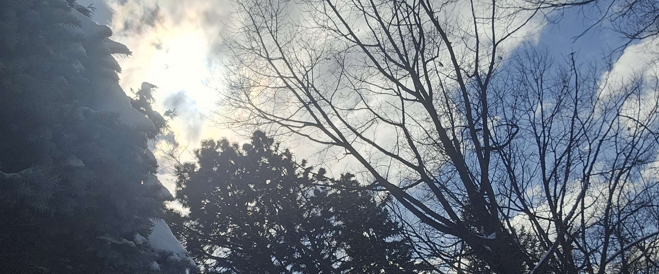 challenge background