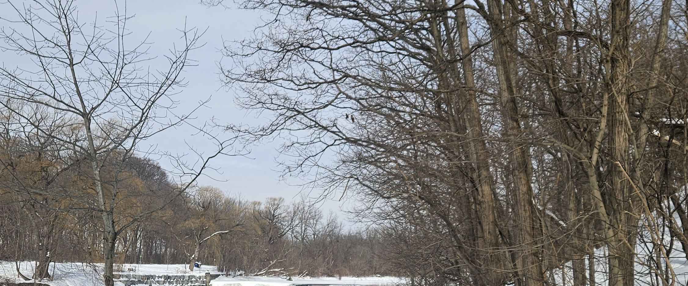 challenge background