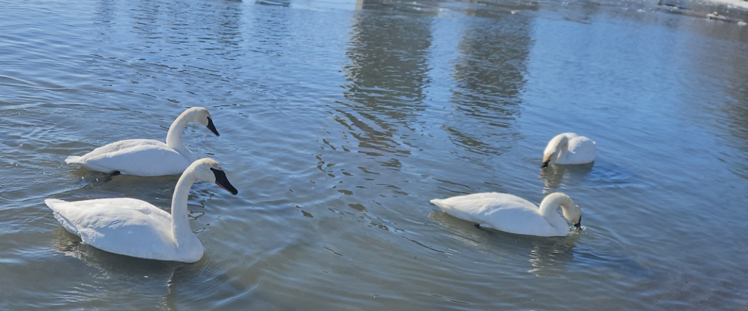 challenge background