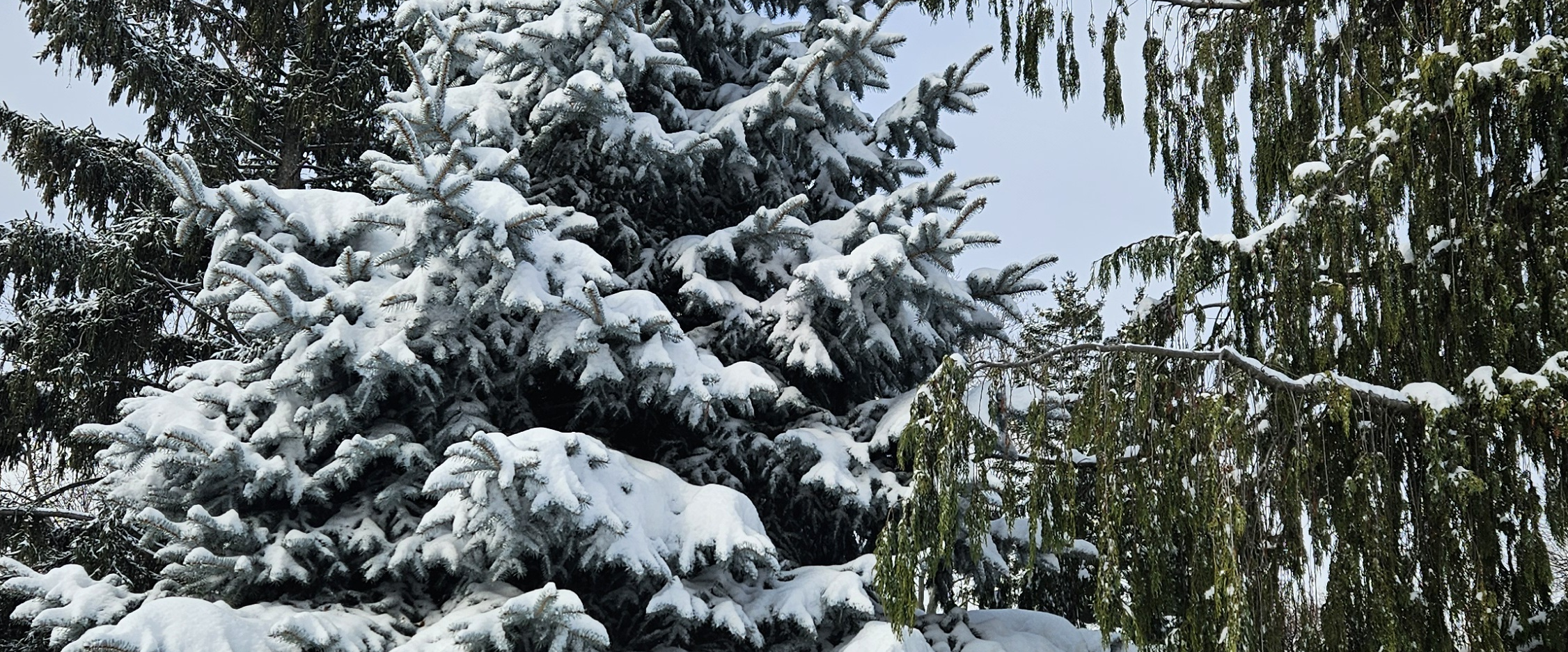 challenge background