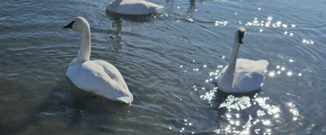 challenge background