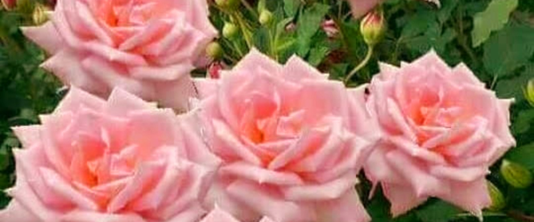 challenge background