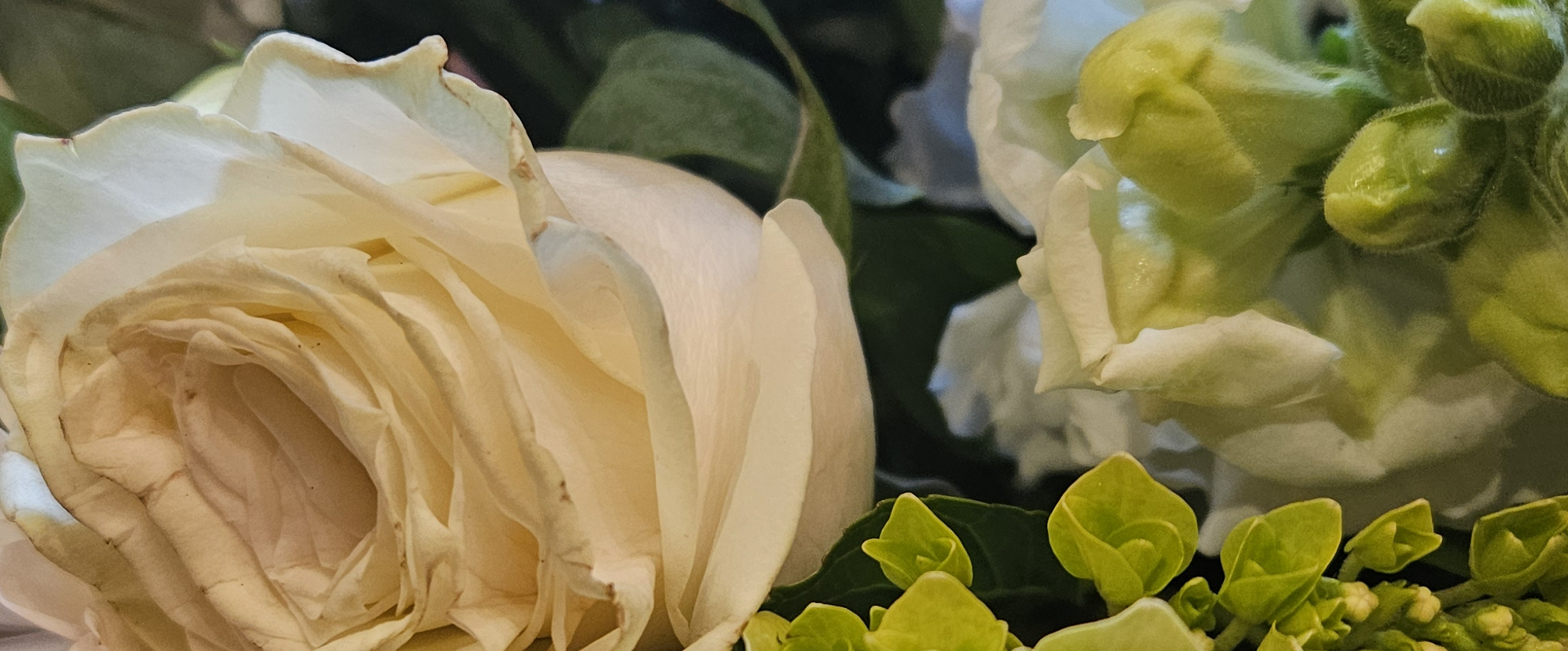 challenge background