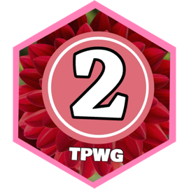 February 2025 20000 Steps - ELITE CLUB icon