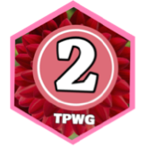 February 2025 3000 Steps - BEGINNERS CLUB icon