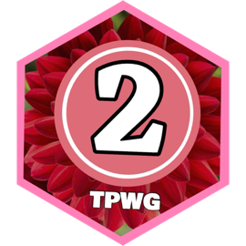 February 2025 10km Distance - PRO CLUB icon