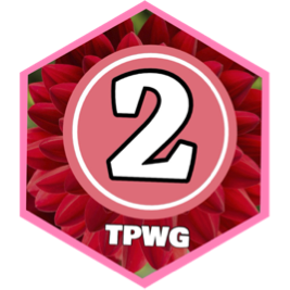 February 2025 10000 Steps - PRO CLUB icon