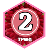 February 2025 20km Distance - ELITE CLUB icon