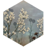 Daily 6000 steps Challenge icon