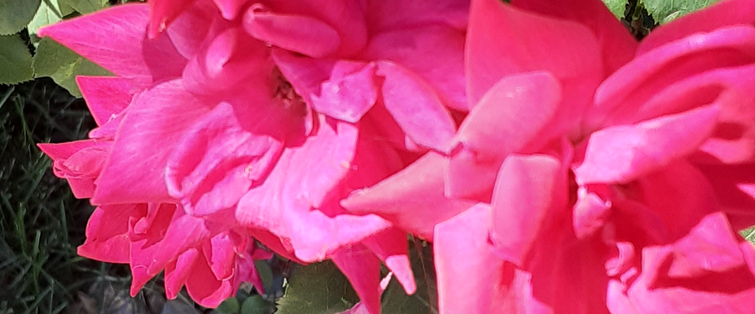 challenge background