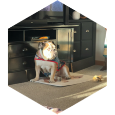 7000 steps per day icon