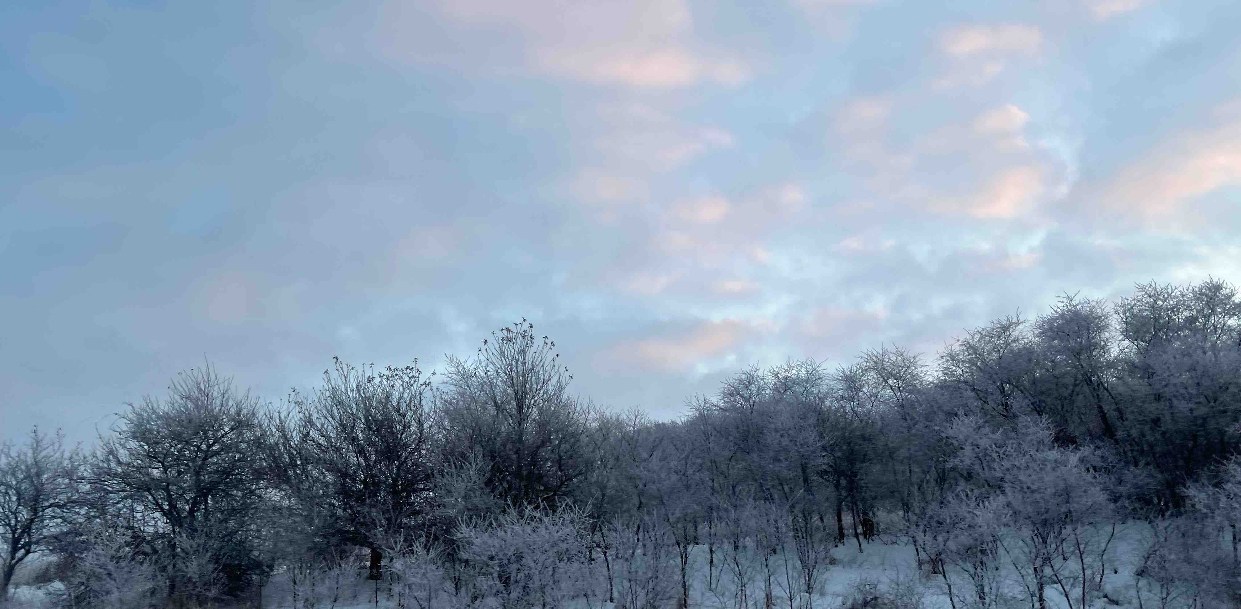 8000 steps per day logo