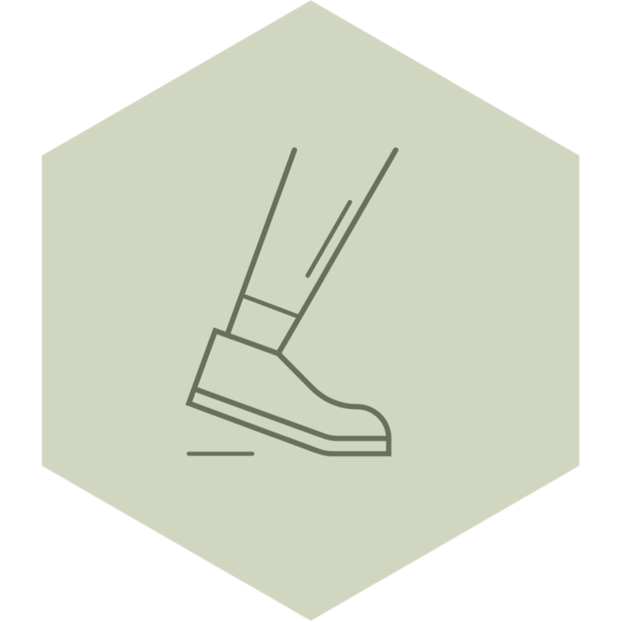nutrifitopia’s step challenge icon