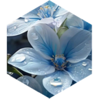 Februar Tägliche Schritt-Ziel-Herausforderung icon