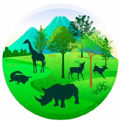 Gray Wolf icon