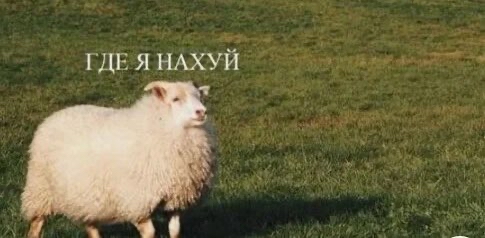 challenge background