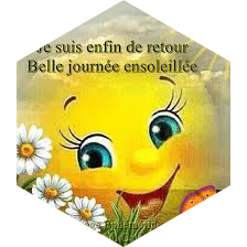 🌞 La Joie et la Bonne Humeur 😺 icon