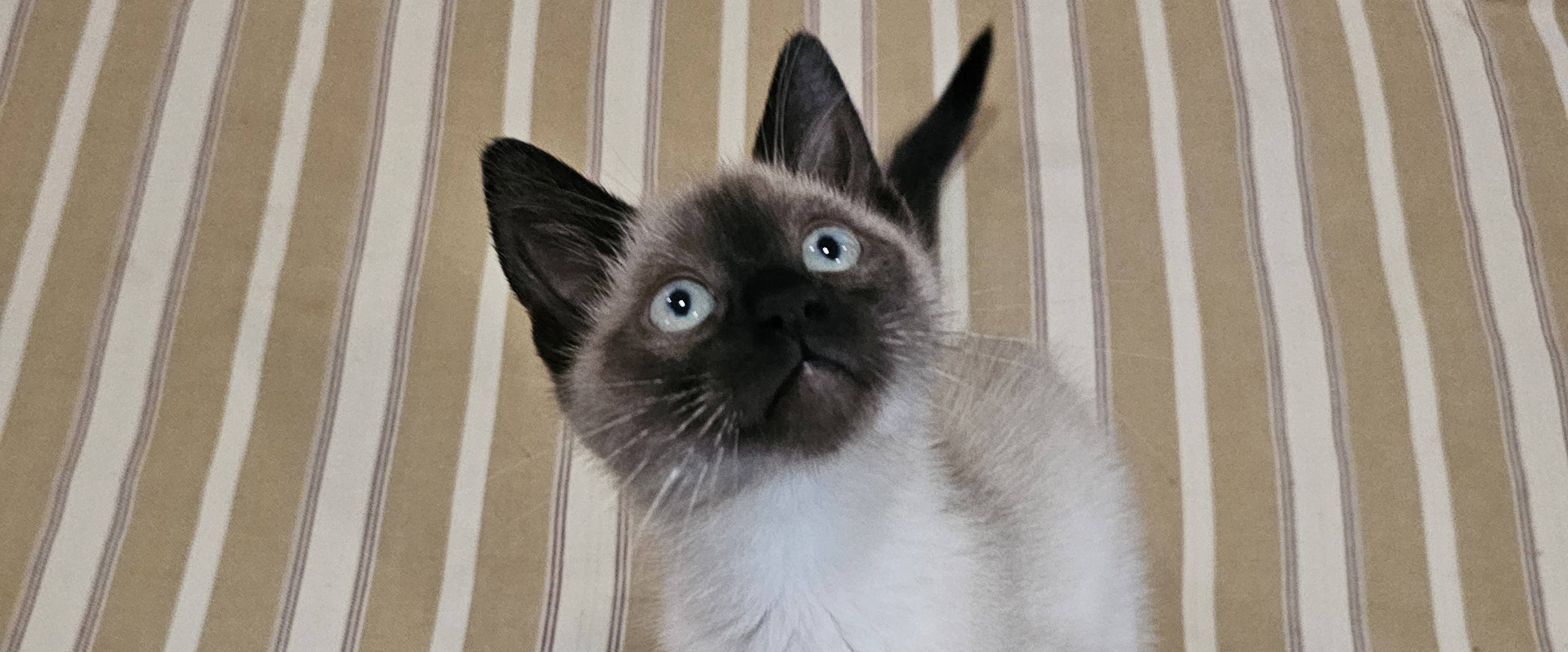 challenge background