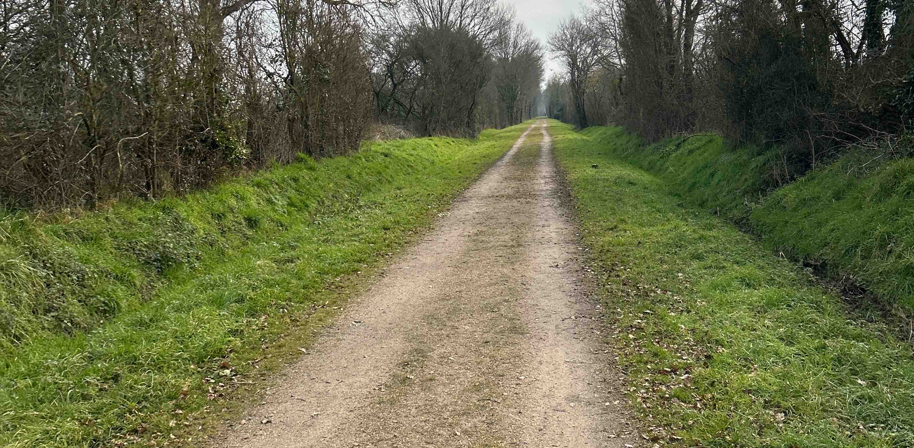 challenge background