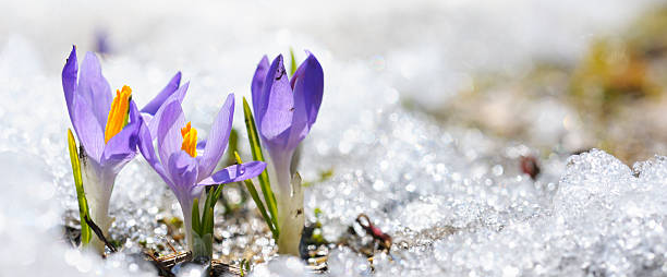 challenge background