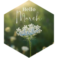 March Distance Competition (40 mile limit) icon