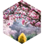 March 3km GPS Race icon