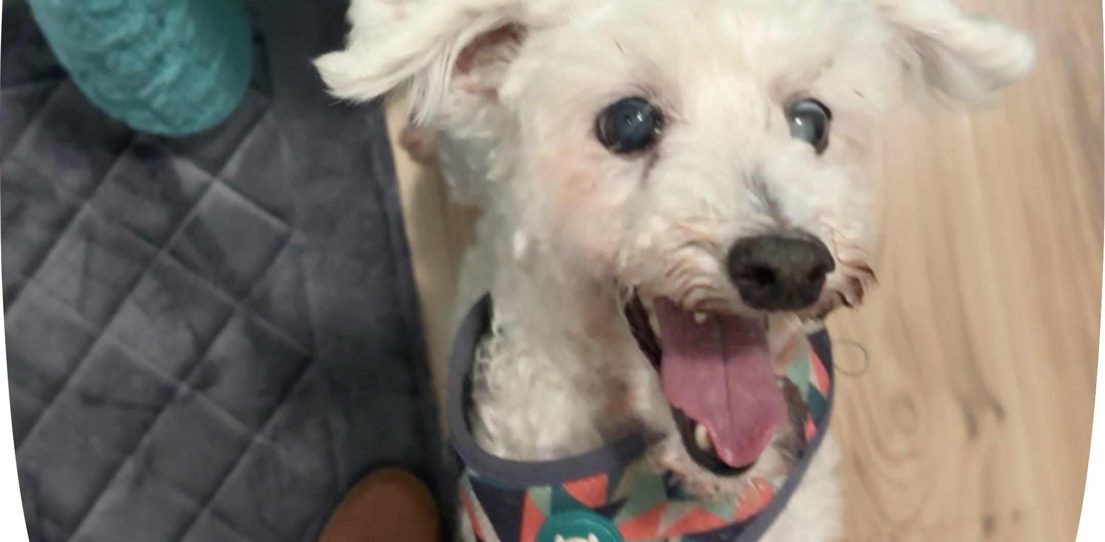 challenge background