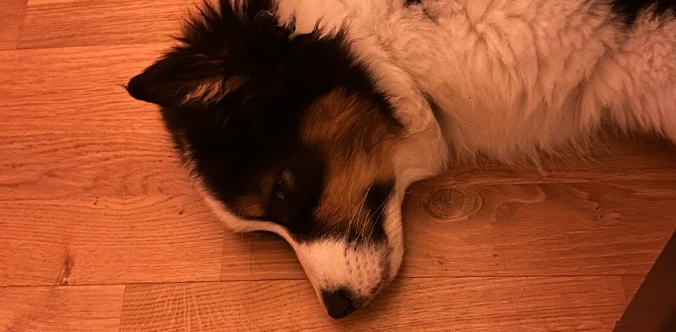 challenge background