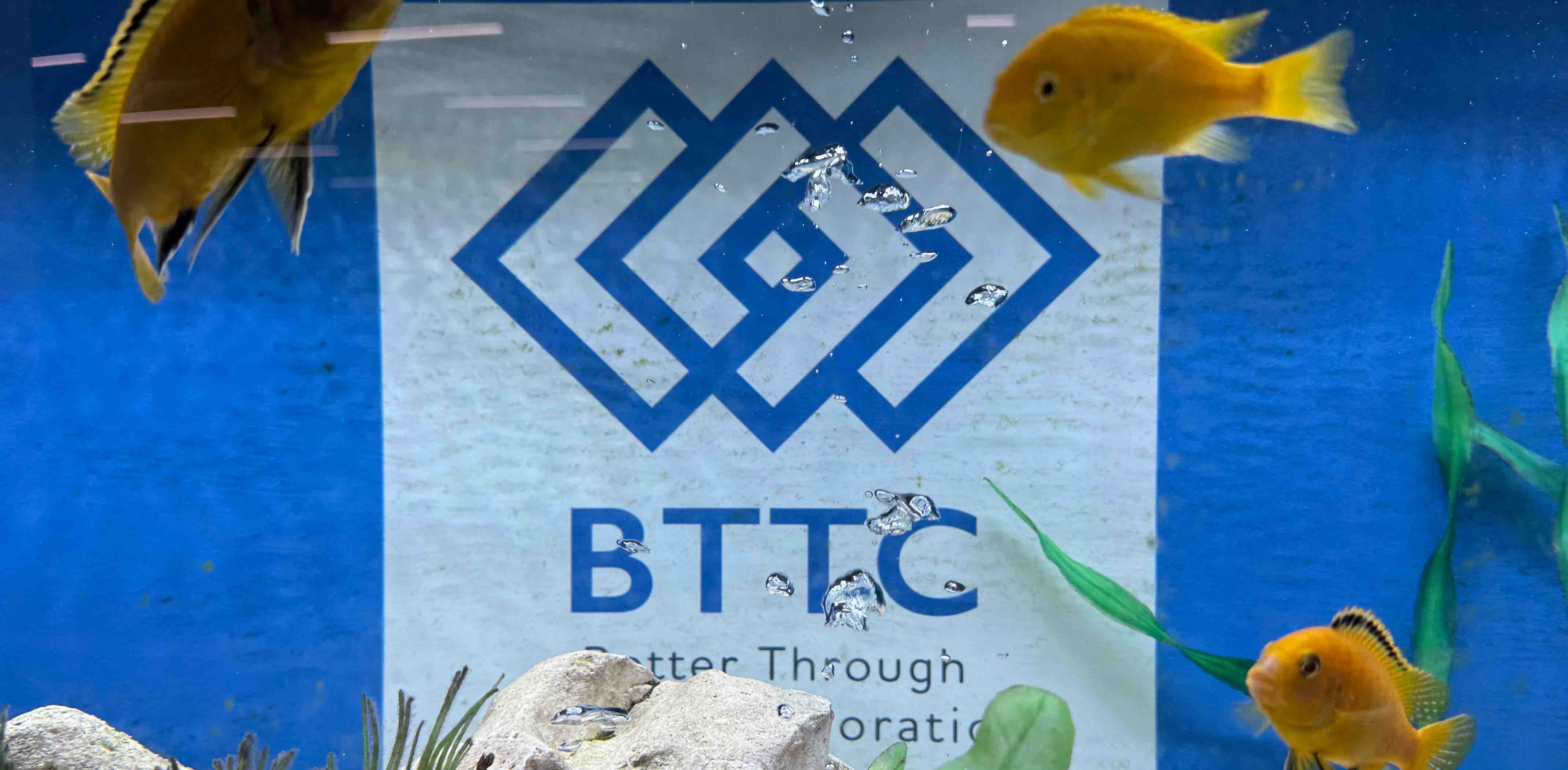 challenge background