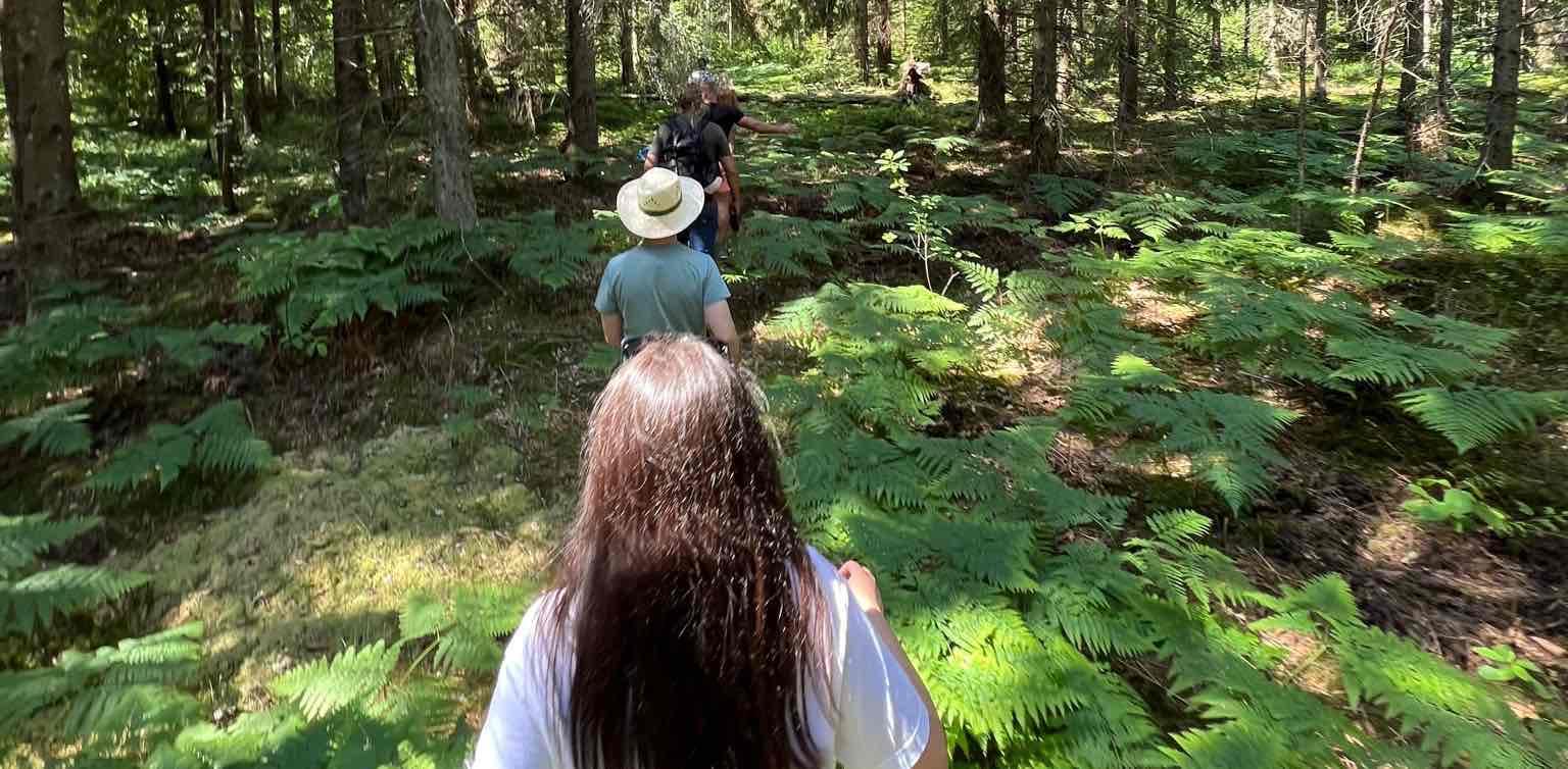 challenge background