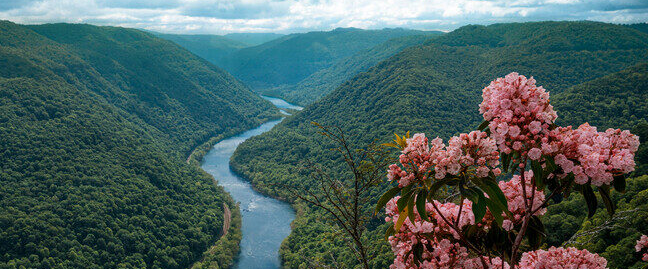 challenge background