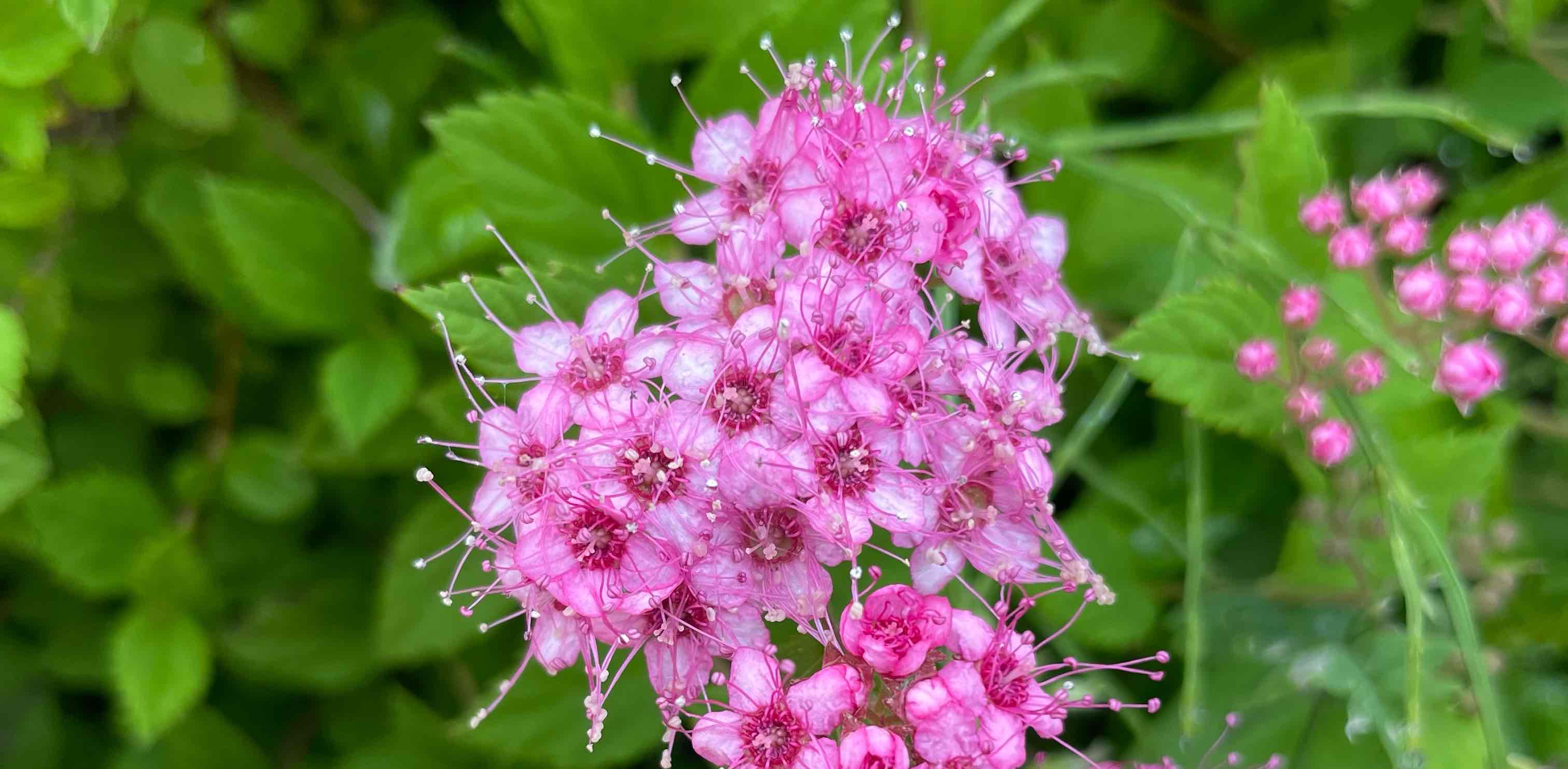 challenge background