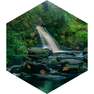 Spring Steps for Nature icon