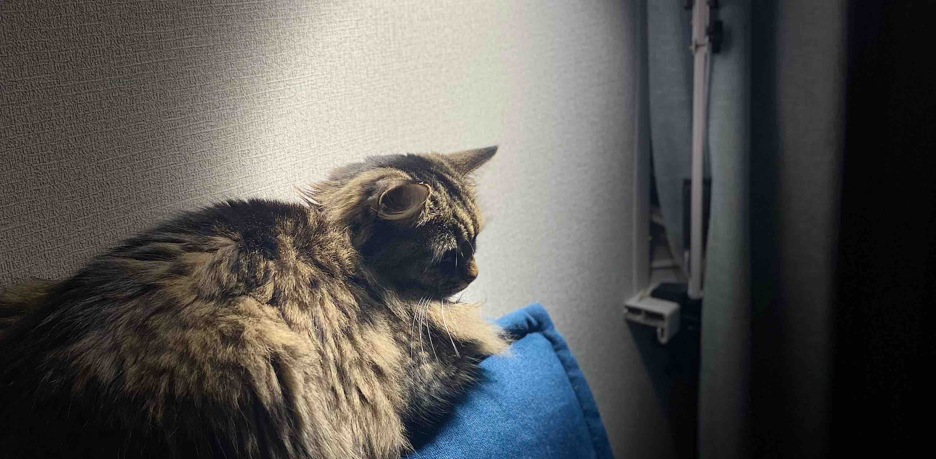 challenge background