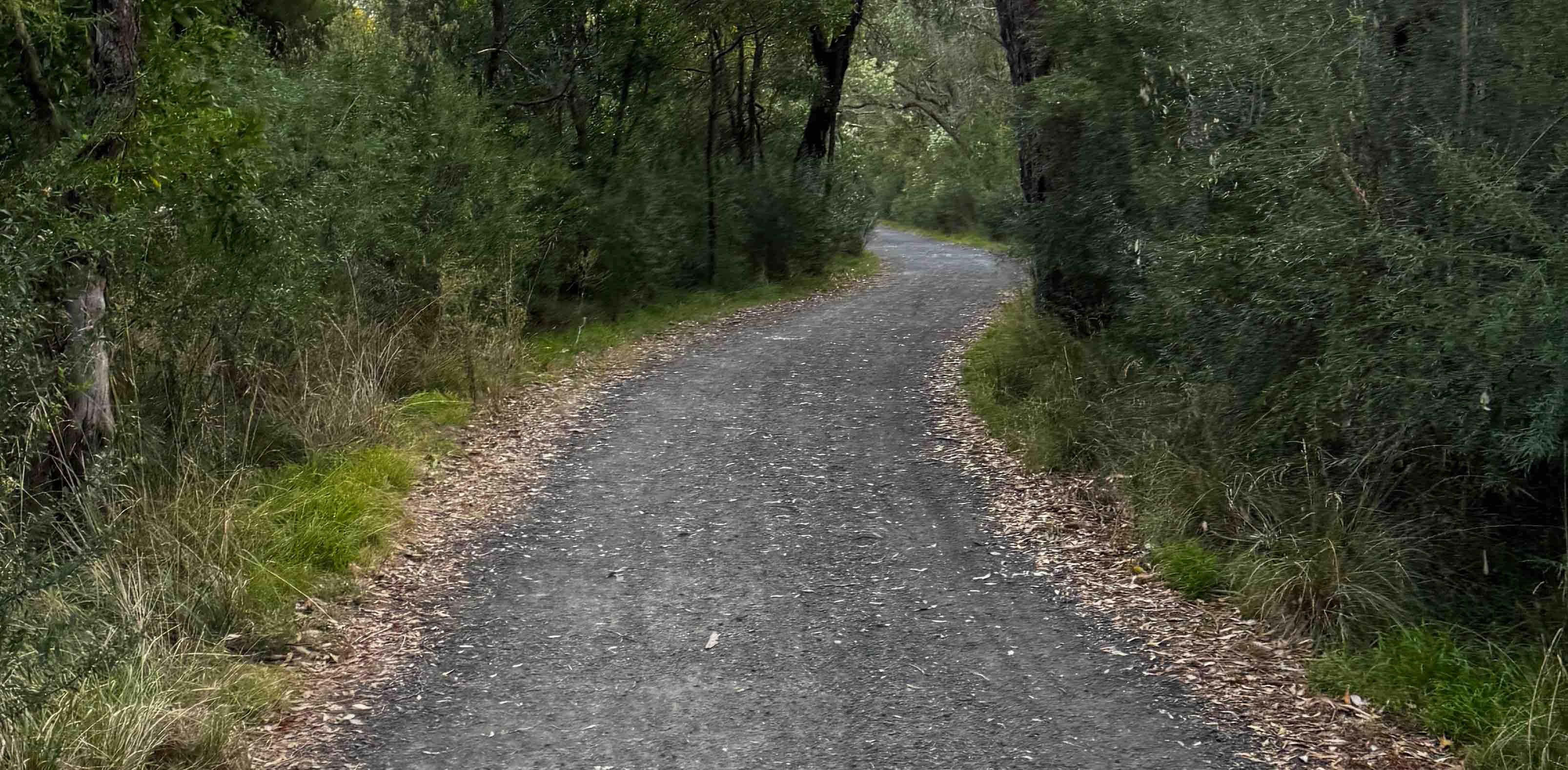 challenge background