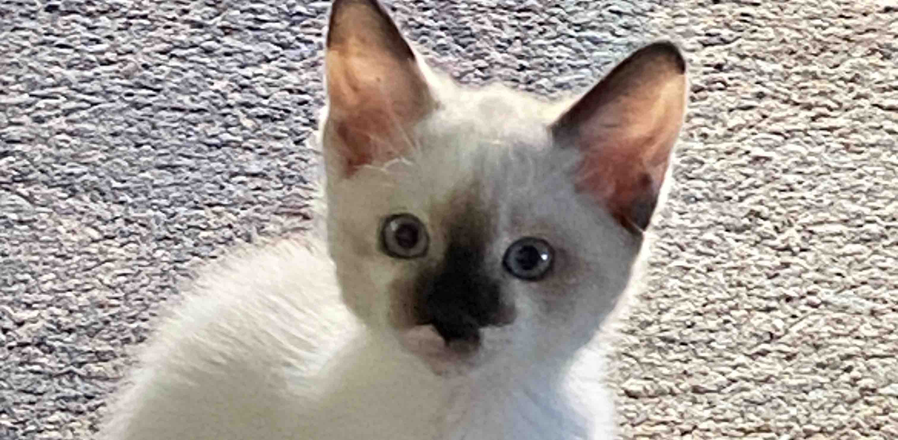 challenge background