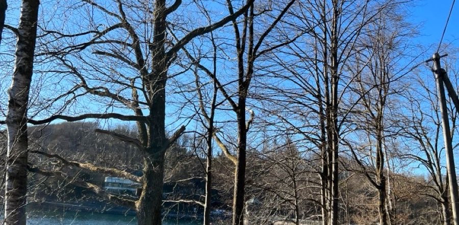 challenge background