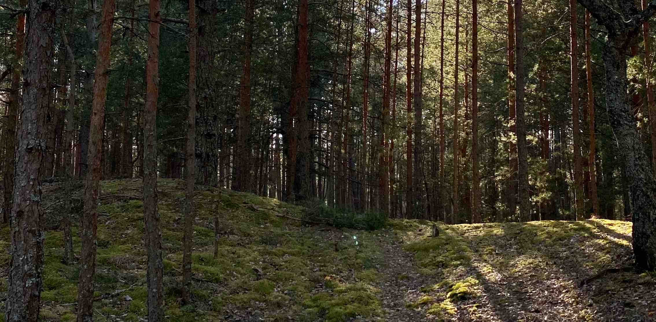 challenge background