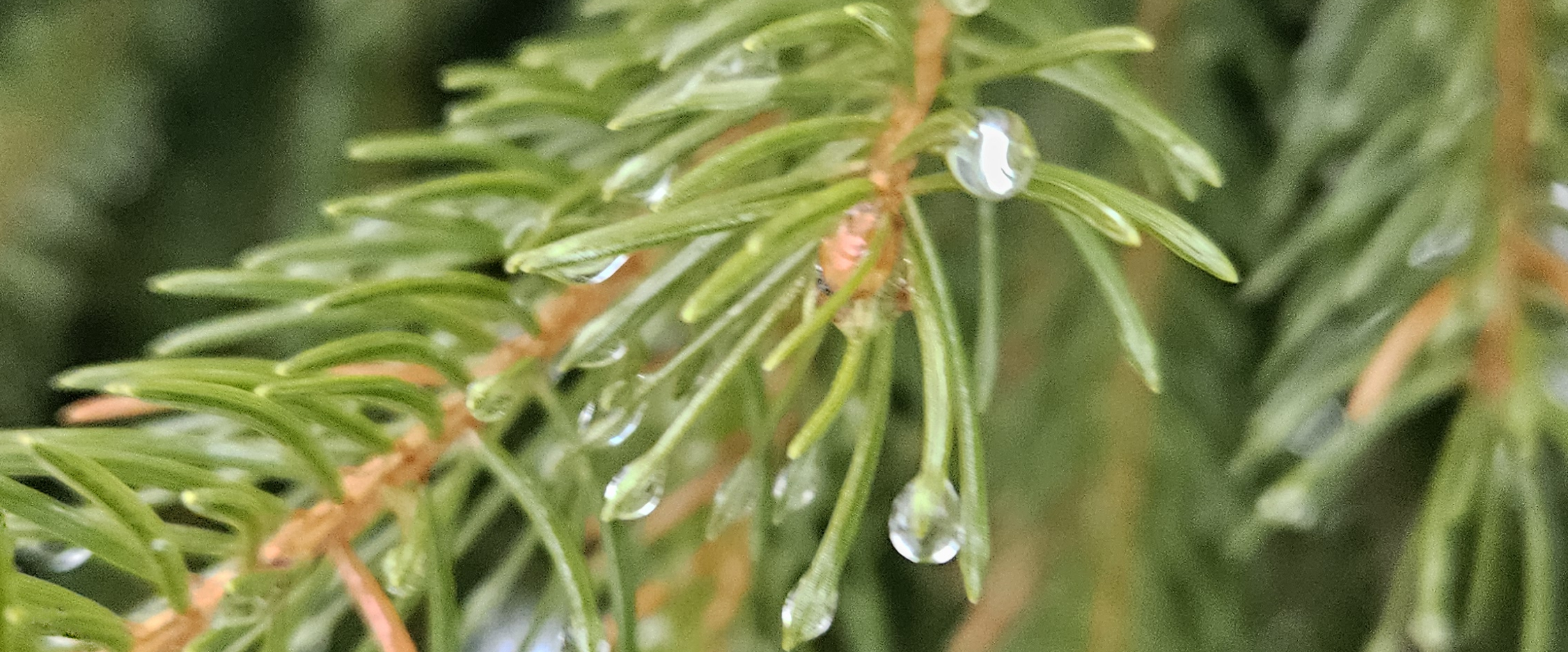 challenge background