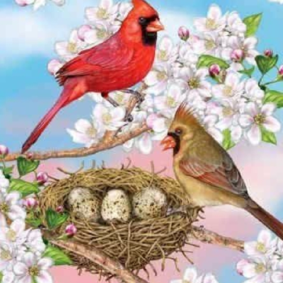 🦜SPRING TIME CARDINALS🦜 icon