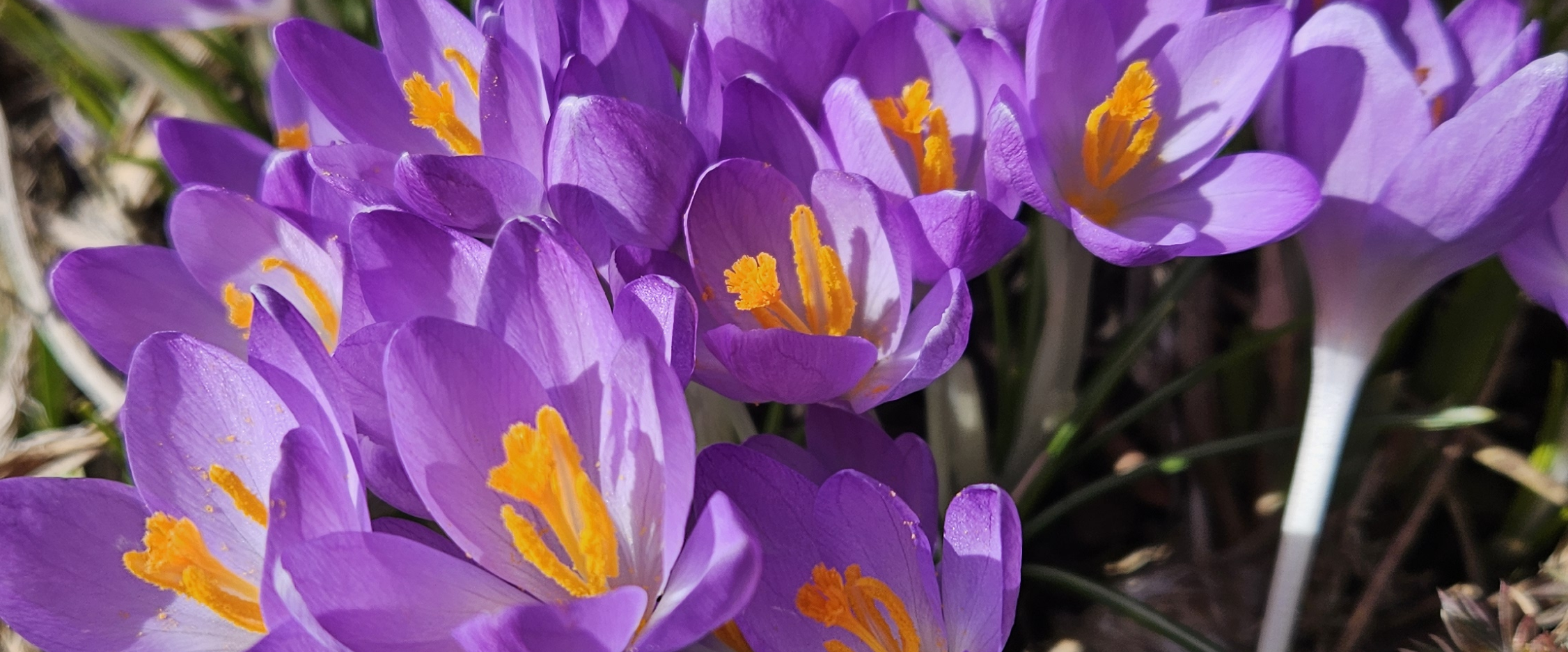 challenge background