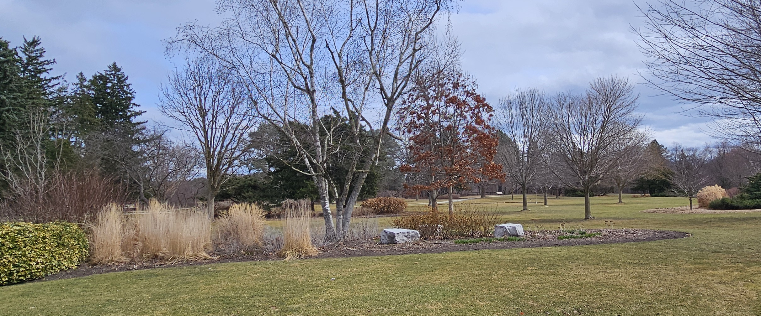 challenge background