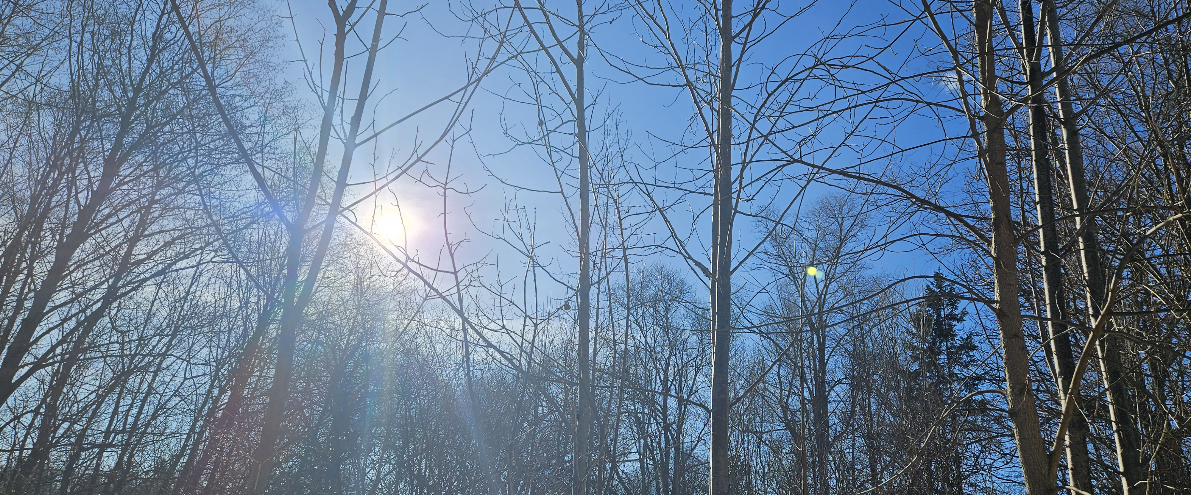 challenge background