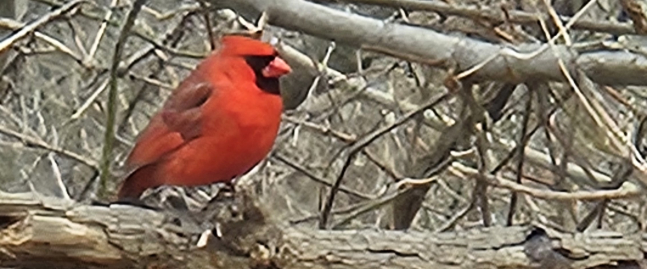 challenge background