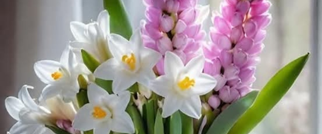 challenge background