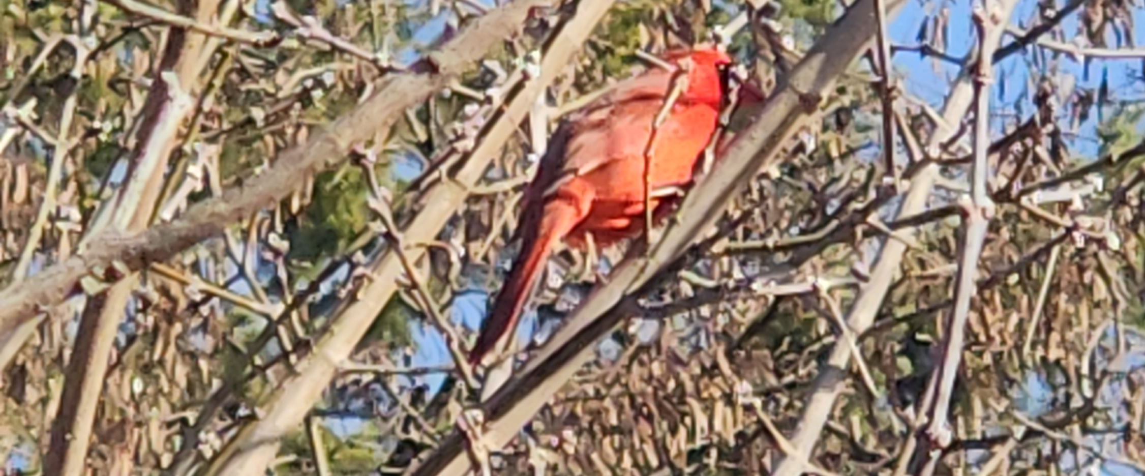 challenge background